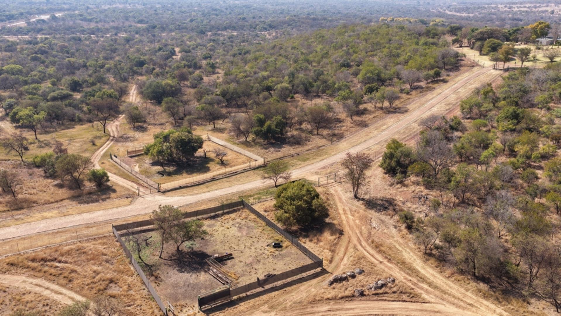 766637_620ha_Magnificent_Game_Farm_FOR_SALE_Naboomspruit_(140).jpeg