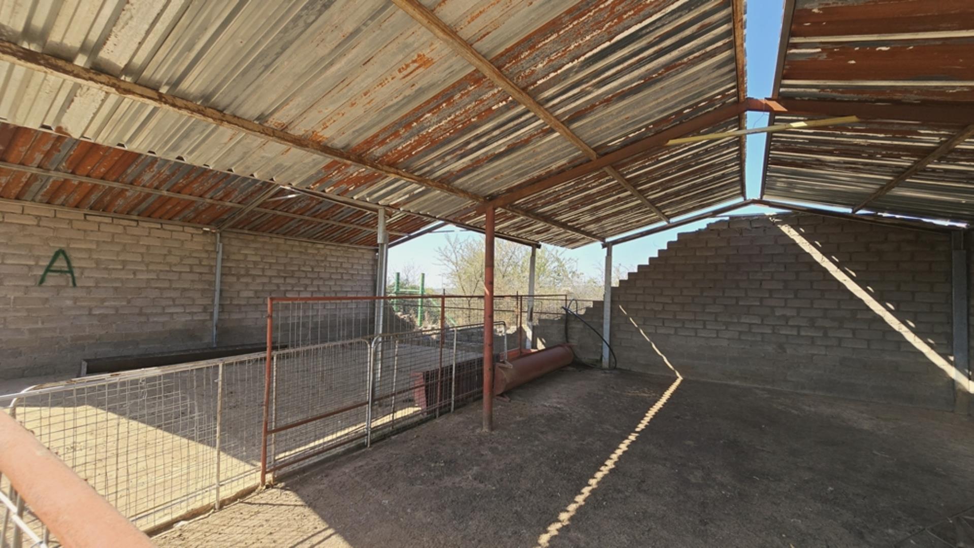 766637_620ha_Magnificent_Game_Farm_FOR_SALE_Naboomspruit_(73).jpeg