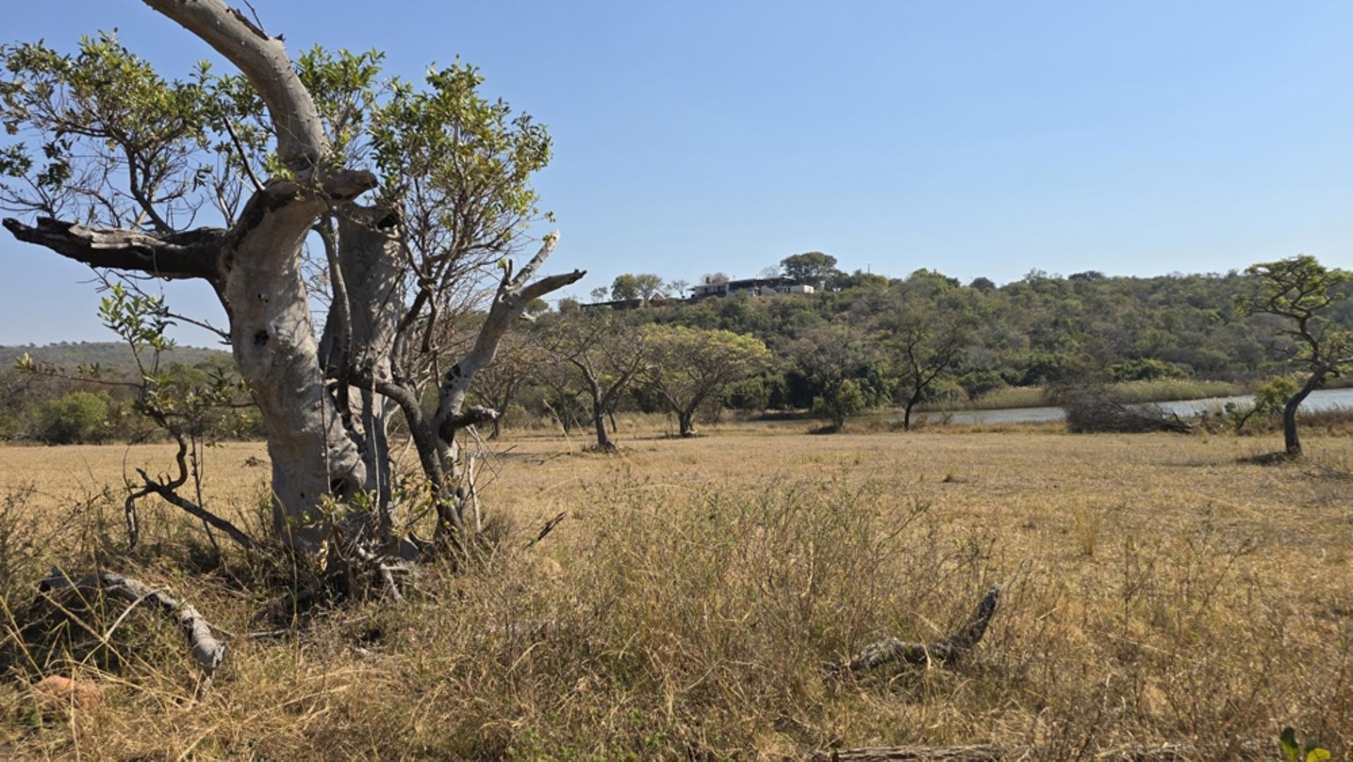 766637_620ha_Magnificent_Game_Farm_FOR_SALE_Naboomspruit_(89).jpeg