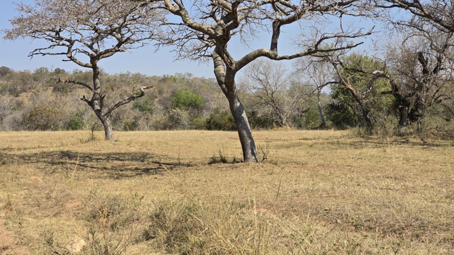 766637_620ha_Magnificent_Game_Farm_FOR_SALE_Naboomspruit_(91).jpeg