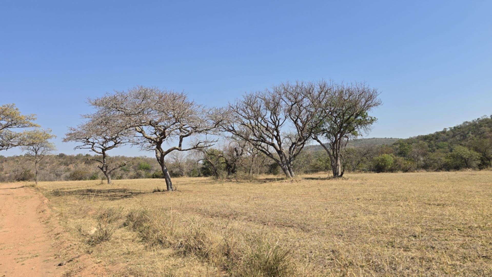 766637_620ha_Magnificent_Game_Farm_FOR_SALE_Naboomspruit_(93).jpeg