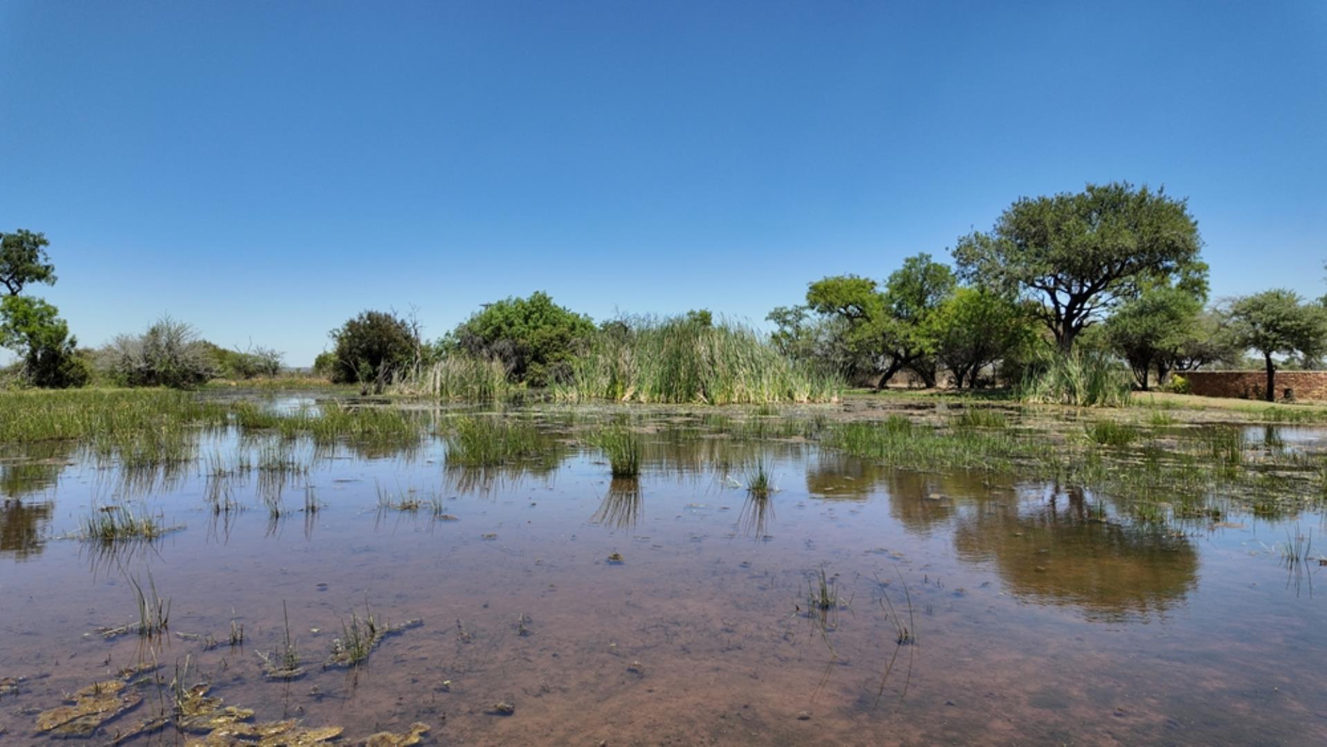 769790_803ha_Dinokeng_Tourism__Game_and_Hunting_Farm_FOR_SALE_(61).jpeg